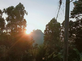 Littleadems View